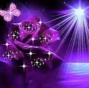 Meet your Posher, Rhonda